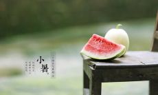 欢迎小暑节气的到来！送上祝福，让您的早上更美好——欣赏小暑节气祝福早上好的精美图片！