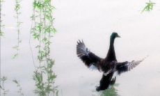 十年工作路程，深刻感恩点滴经历所饱含的意义