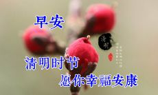 者为英勇牺牲的先烈祭奠，表达感慨和寄语的仪式与话语