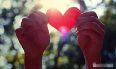 社会恩情，爱相随——感激社会与共同前行的呼声