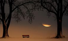 感恩我的导师——一篇充满感情和感激的诗歌