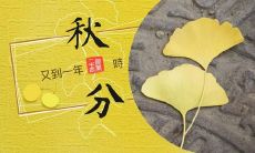 有关秋分的发朋友圈说说推荐，适合在秋分这一特殊时刻与朋友分享的秋分心情文字