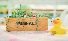 让你的社交媒体变甜蜜的话语——适合发各种说说的超级甜蜜句子分享！