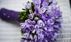 迎接立夏，分享经典的祝福语，祝福您和您的亲人、朋友健康幸福，愿这个立夏绽放美好的生活！