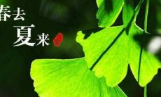 一些简短的立夏祝福语，让你在这个特别的日子里传达你的祝福