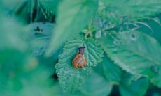 2022年最新立夏节气的祝福语集锦，包罗万象，祝愿您的生活更加美好！