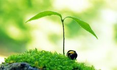 汇总：一组令人感激祖国的名言，饱含爱国情怀与历史沉淀