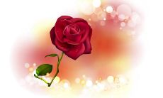 如何感恩单位提供的福利，让我们更加珍惜工作与生活的幸福？