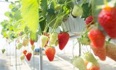 中的个人资料设置及隐私保护原则：从头到尾全面解析！