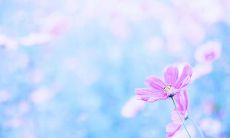 感性洞察启迪亲情，领悟深刻的句子