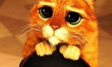 请不要用那种拟人小狗一样的无辜目光钩住我的心，我无法抵挡的看你眼神