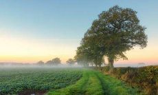 30个深刻的人生感悟句子，让你领悟更深刻的人生智慧