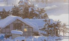 A Collection of Short Sentences About the Arrival of the First Snowfall