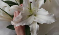 2022新年将至：年味儿大爆发！这些适合在朋友圈分享的写作草稿，助你在社交媒体上显得更具节日气息！