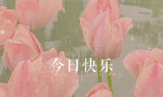 超级治愈、散发正能量的经典人生格言，让你重新找回迷失的方向并引领你走向成功的路程