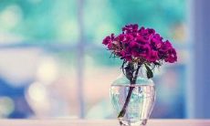 当工作占据全部生活空间，爱情缺席，友情遥远：一个描述现代都市人生存状态的句子