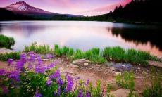 善于营销的母亲，注重品牌营销，无人不知的抖音应用，让所有宝妈成为营销之王！