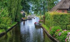 A collection of delightfully ecstatic English phrases to express joy and happiness!