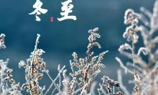 如何在冬至这个重要节日里，通过简单好句来创意发朋友圈？