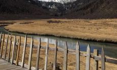 A Satirical Sentence on False Friendships: Exposing the Facade of Pretentious Camaraderie