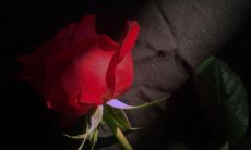 浸透着遗憾情感的文案——撕心裂肺的关于遗憾的语句