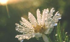 的记述：经典的言辞，最能形容出亲情的句子