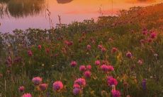 对神灵的探寻：一段关于对神性力量的深入理解与接触的文案