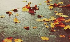 经常失眠、心情烦躁、内心积压的人该如何缓解？