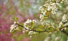 值得感恩的结婚：让我们一起珍视和感恩这美丽婚姻之旅！