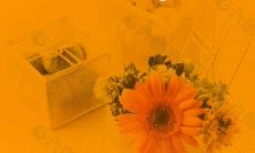 在职场中感恩领导和同事说的细微之语：一种善意的情感表达与职场建设的力量