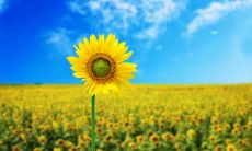 向前迈进的积极人生信条：不断努力、永不放弃！