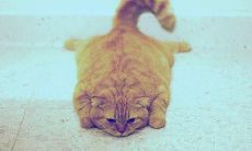 深感失望：表达对丈夫的失望和不满的几种句型和表达方式