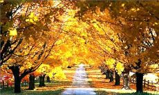 18个唯美的句子，用于描述惊蛰这一节气的诗意韵味