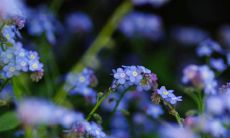 探寻古诗深情之美：闪耀着感情深厚、温暖无比的句子