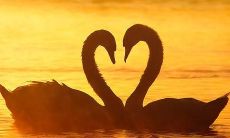 婚姻中失望另一半的话语，探究背后的情感困境