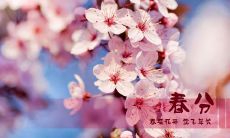 一些能够传达春分之祝福的简短句子