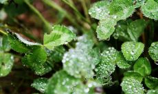 ——激励你在工作中取得成功的精神支持和启示的职场励志名言汇总