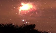 在中国传统新年——春节期间，以短信形式向客户致以问候的高效商业交流策略