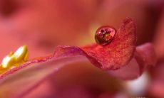 以避免交通意外为目的的交通安全意识：多角度探讨和分享可实行的警句和指南