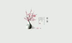 今日惊蛰：朋友圈上的句子让人感悟生命和自然交融的美好体验