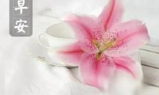 多种经典句子推荐，适合早上发朋友圈增添生活气息