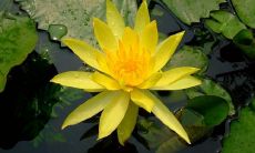 探讨关于看破红尘的各种形容诗句，让你更加深入理解超越尘俗的境界