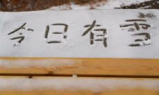 下雪啦！小编为你准备了10条创意，学会如何在朋友圈较真发布最美雪景照片，赢得点赞满满！