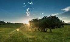 每日早晨，用这些心灵鸡汤激励自己迎接人生挑战！