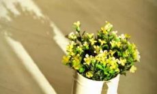 富有诗意的冬季暖阳所催生的令人陶醉的唯美句子