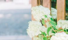 感受快乐的正能量：收录众多让人开心的英语句子列表