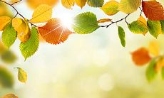 员工沉浸在愉悦工作状态中，从而提高公司效率的描写