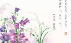 探寻诗经中清新淡雅唯美的句子之美妙精髓