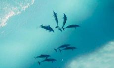 分享快乐心情：欣喜发言的句子