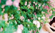 让句子迷痴迷的文案语录：收集最精美的句子和文案，给你带来极致的阅读体验！